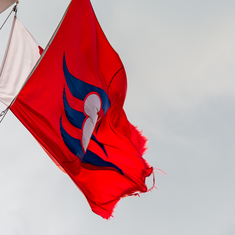 This Disney Cruise Line flag may need to be replaced. (150.67 KB)