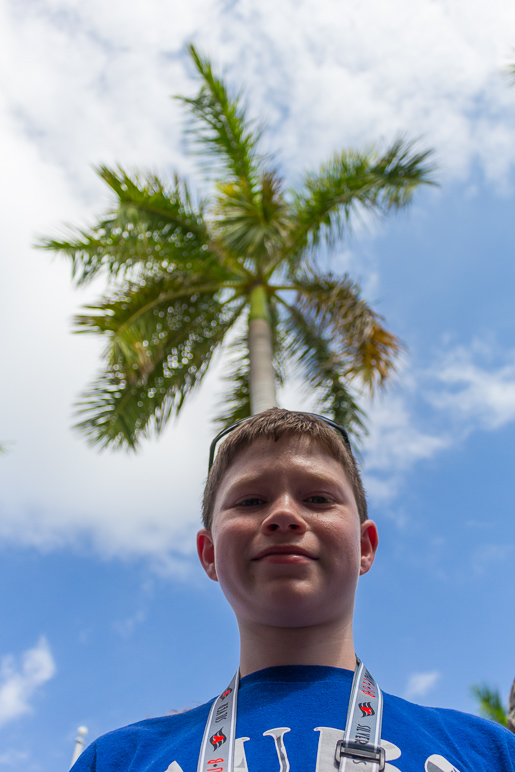 Andrew has a palm tree growing out of his head. (178.88 KB)