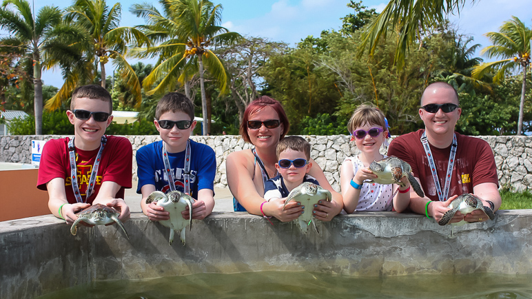 All six of us holding turtles.  Photo taken by the Cayman Turtle Farm. (287.99 KB)