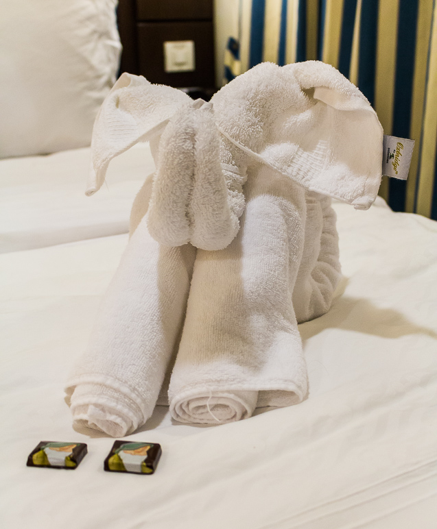 The service staff makes various things out the towels.  I thought this elephant was pretty cool. (191.33 KB)