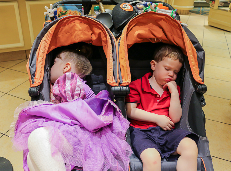 They had a long day and crashed in the stroller (317.06 KB)