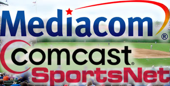 Mediacom's For the Birds (43.07 KB)