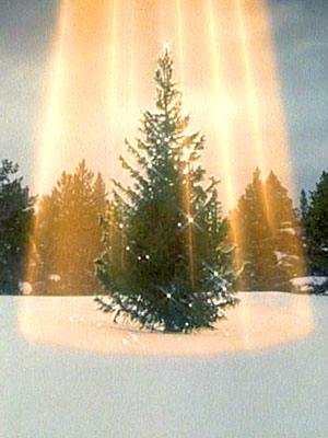 War on Christmas (44.15 KB)