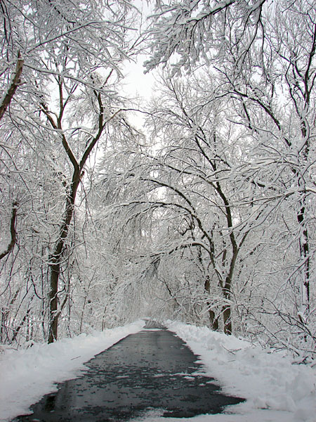 Snow can be beautiful (158.73 KB)