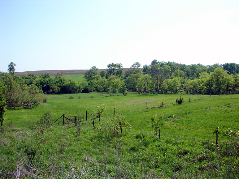 Is this heaven?  No.  It's Iowa. (283.16 KB)