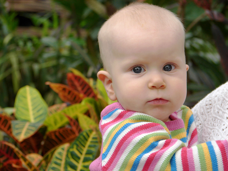 Katelyn at the Botanical Center (189.75 KB)