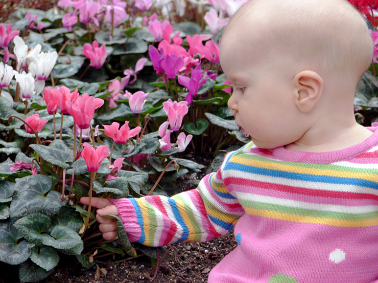Kate, picking some flowers (263.10 KB)