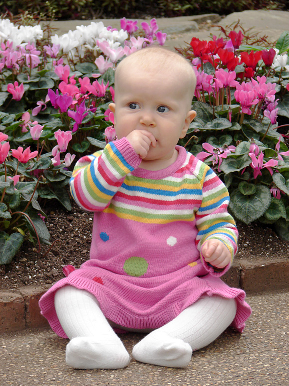 Katelyn sitting in front of some flowers (282.14 KB)