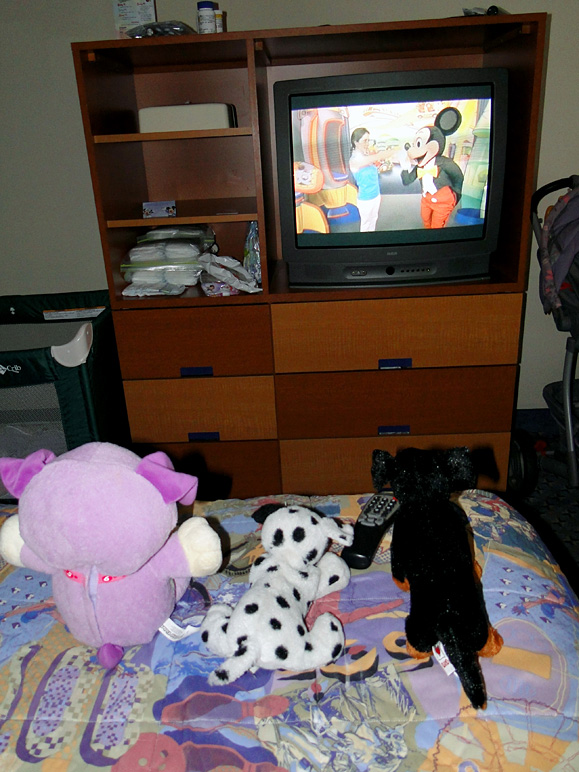 The stuffed animals were watching TV when we got back (213.90 KB)
