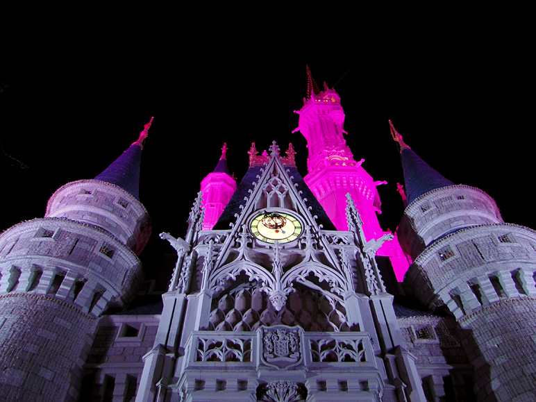 Great nighttime shot of Cinderella's Castle (194.17 KB)