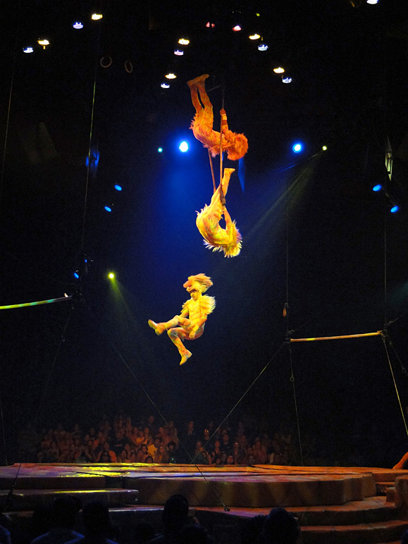 They're playing on a trampoline (170.55 KB)