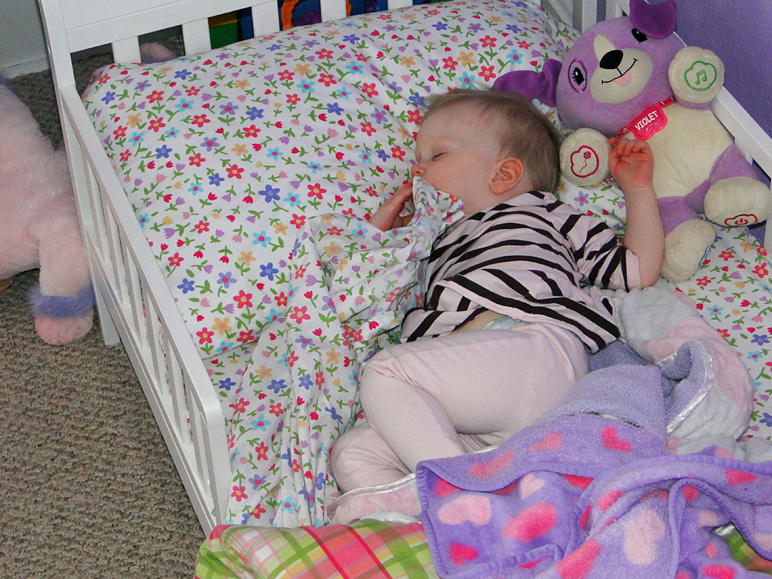 That looks comfy (291.38 KB)