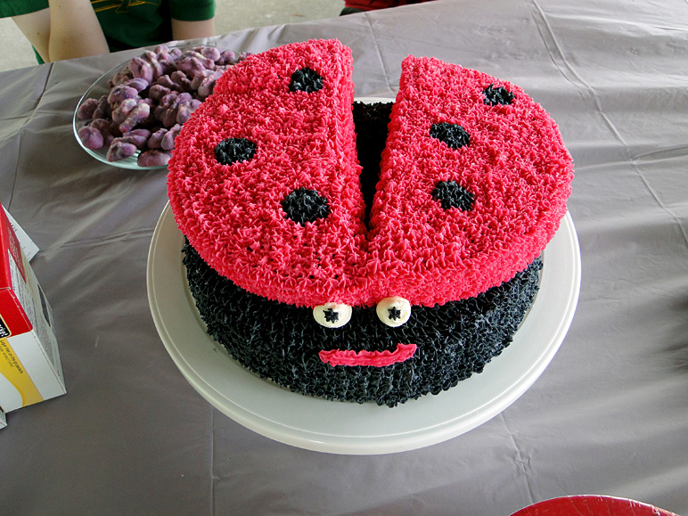 Anna made this really cool bug cake for Katelyn's birthday party (266.06 KB)