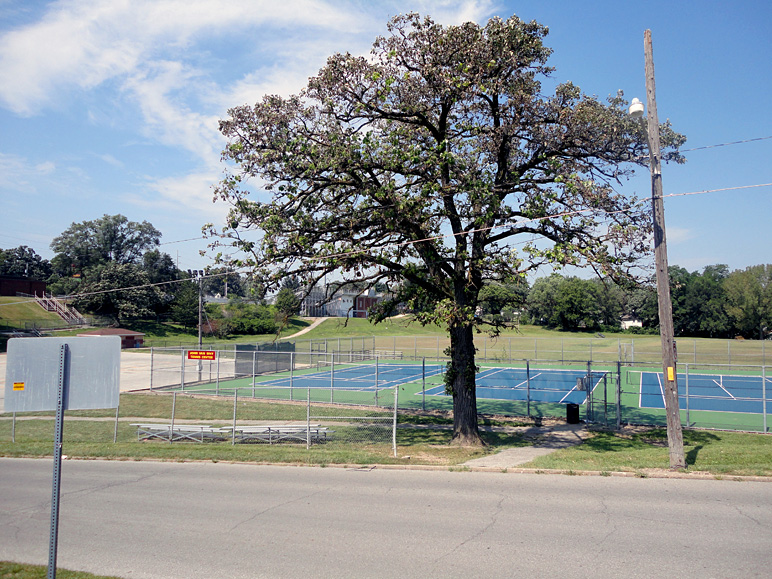 This is looking back towards Hutchens Stadium (288.79 KB)