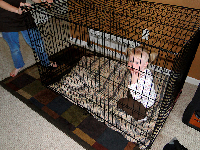 This is how Anna and I deal with our children.  (So that they're not taken away, I am joking). (326.64 KB)