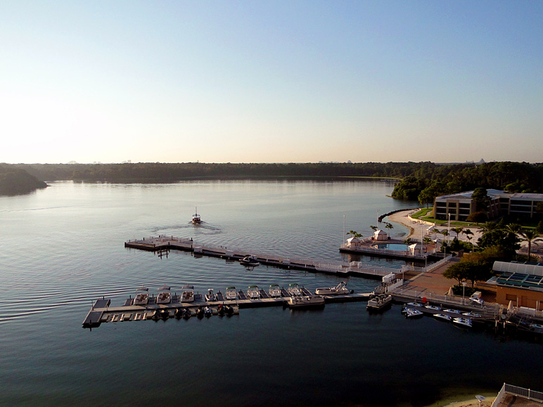 Here's the view from our balcony at Bay Lake Tower (165.66 KB)