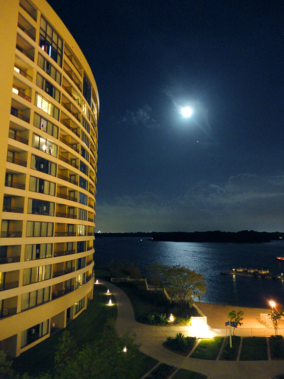Not bad for a hand-held shot with a point-and-shoot (214.04 KB)