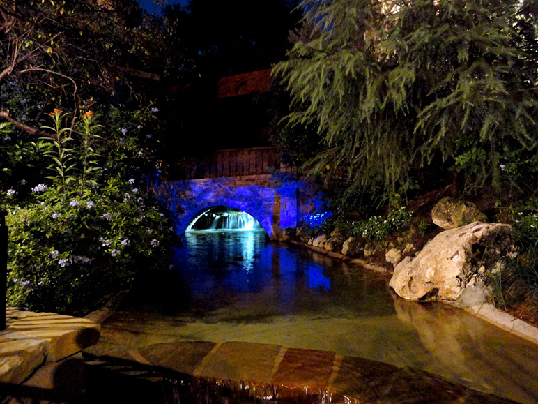 This was my scenery as we waited for the Seven Dwarfs (271.34 KB)
