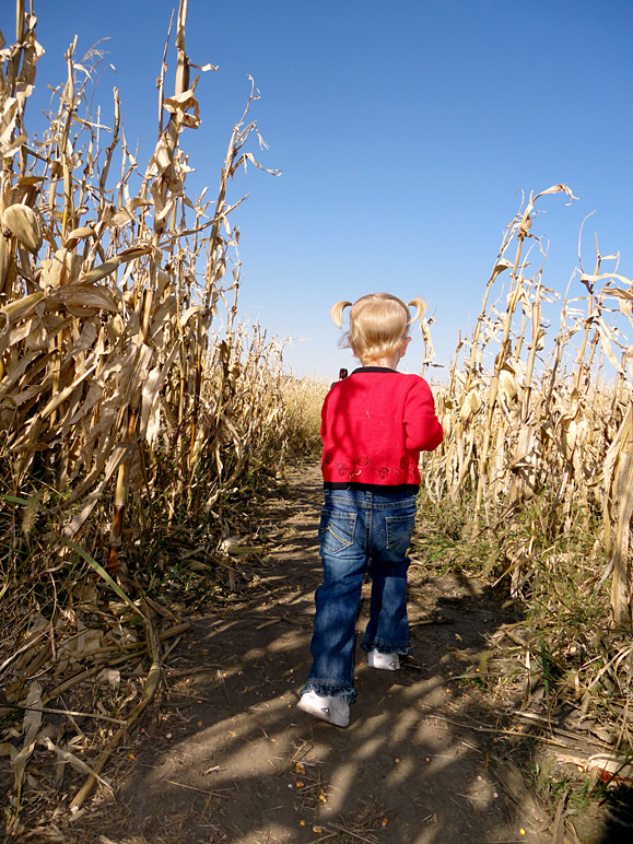 Katelyn running away from me in the corn maze (323.34 KB)
