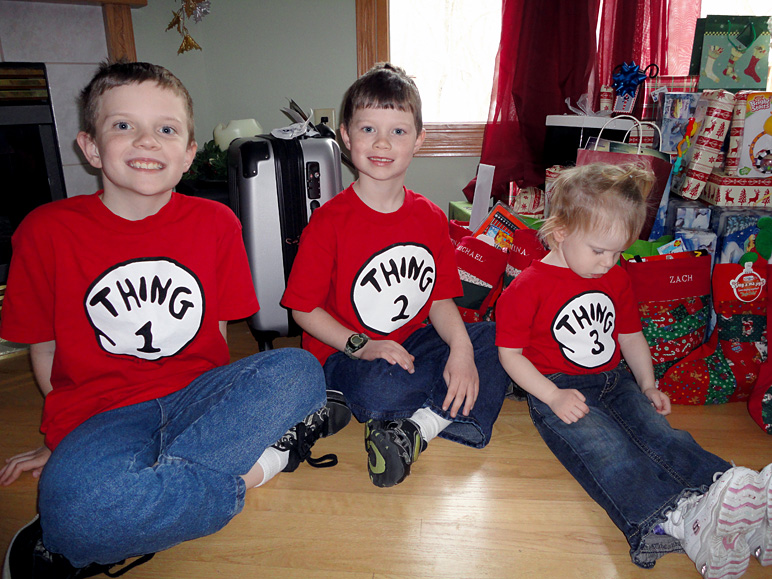 Thing 1, Thing 2, and a grumpy Thing 3 (250.35 KB)