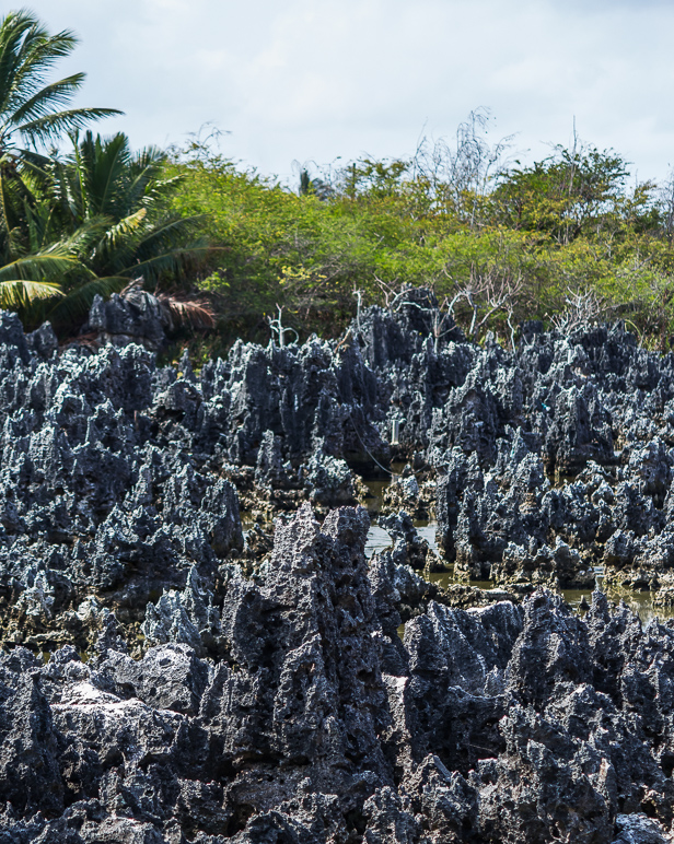 The rocks around here were other-worldly. (449.37 KB)