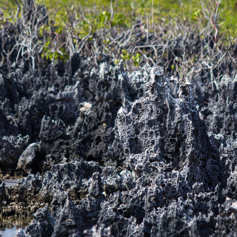 I tried to capture the detail of those rocks.  Truly foreign. (524.13 KB)