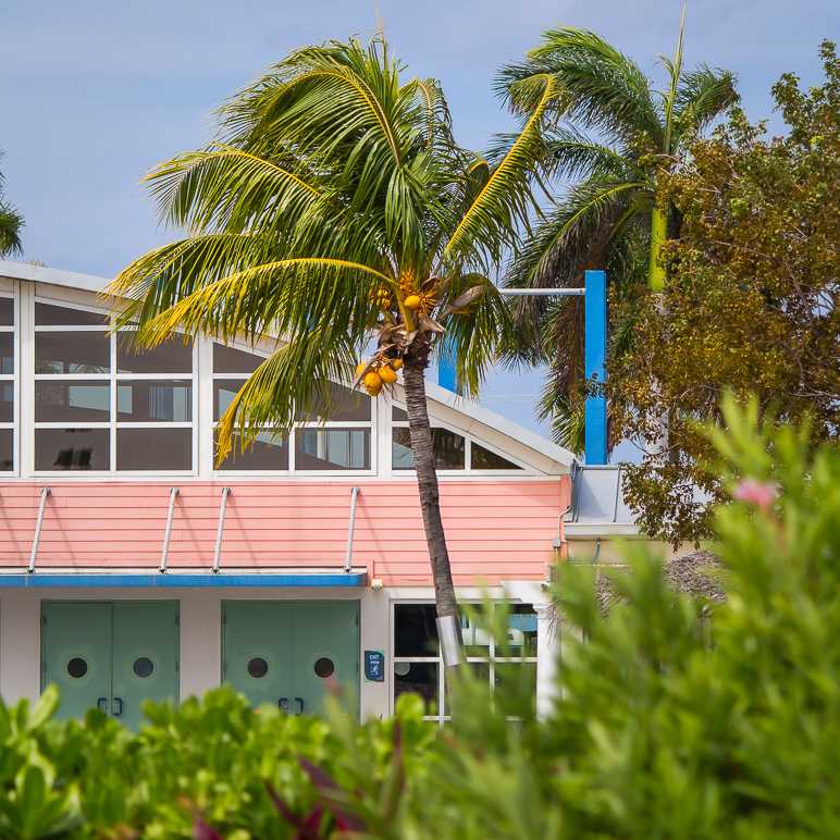 The Cayman Turtle Farm was cool; wish we could've seen more of it. (466.12 KB)