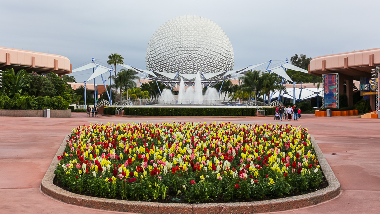 Disney does a great job with flowers around the parks. (281.34 KB)