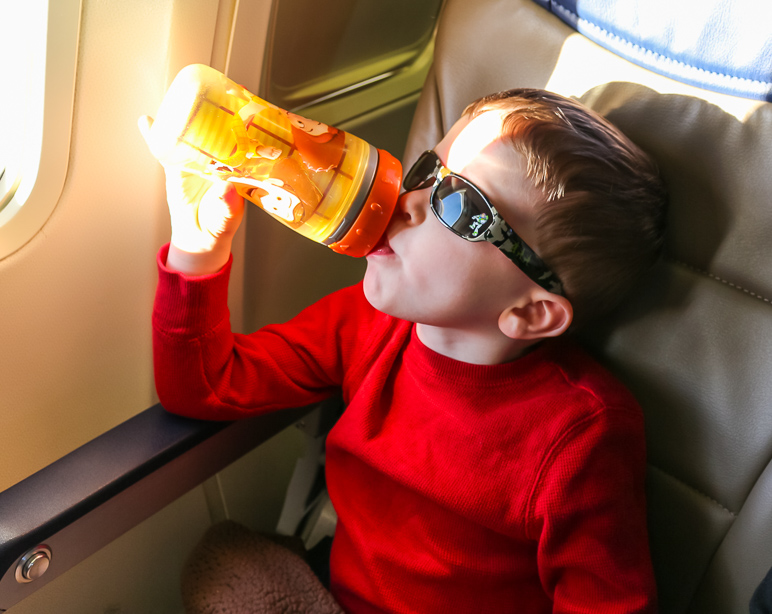 Lucas, chillin' on the plane. (214.88 KB)