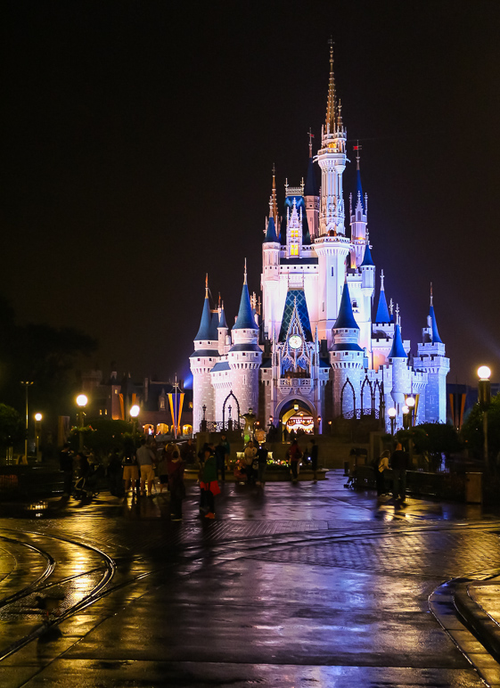 It's hard not to take pictures of the castle. (244.45 KB)