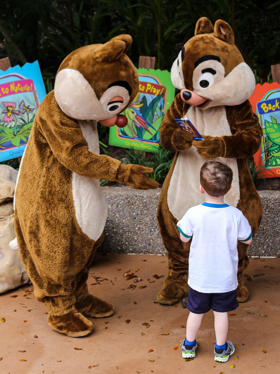 Chip and Dale with Lucas (302.73 KB)