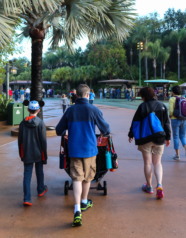 Jake pushing the stroller as we head to Animal Kingdom (327.48 KB)