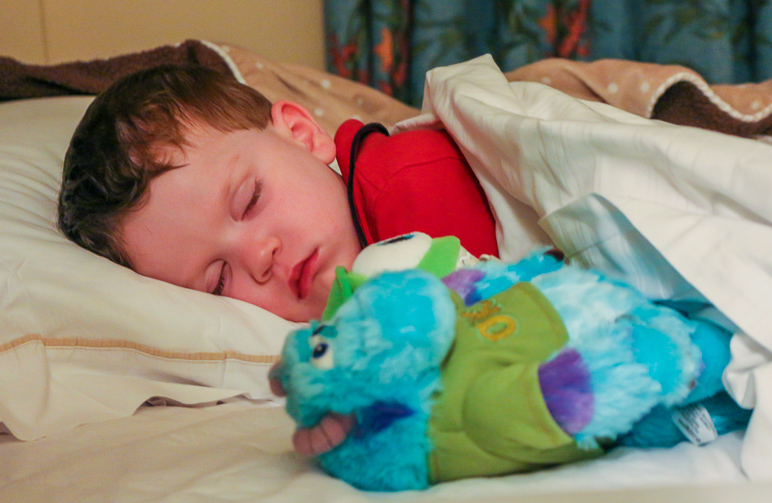 Lucas, crashed hard and in bed. (200.47 KB)